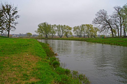 Krapkowice -  Ujcie Osobogi do Odry