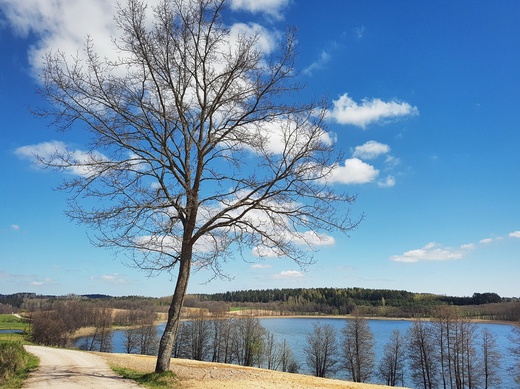 Droga okrajca jezioro Kamedu. W stron Jaczna. Suwalski Park Krajobrazowy