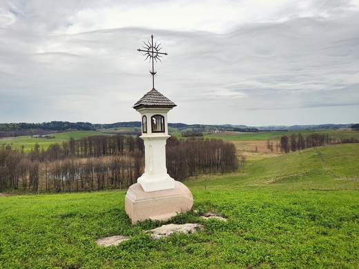 Kapliczka na niebieskim szlaku pomiędzy Wodziłkami a Udziejkiem. Suwalski Park Krajobrazowy