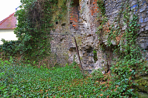 Krapkowice - Ruiny zamku Otmt