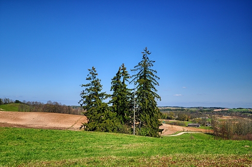 Okolice opuchowa, Suwalski PK