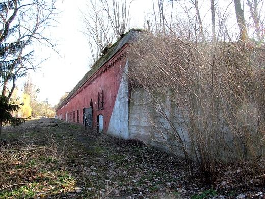 Hangar Wschodni - mieciowiskiem