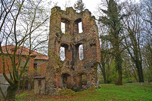 Krapkowice -  ruiny zamku Otmt