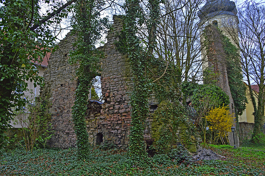 Krapkowice - w ruinach zamku Otmęt