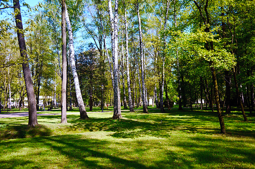 Goczakowice-Zdrj. Park zdrojowy.