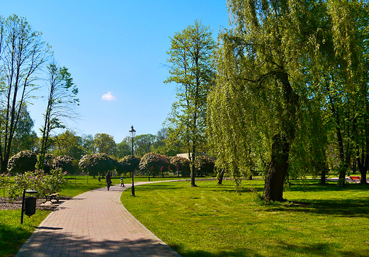 Goczakowice-Zdrj. Park zdrojowy.