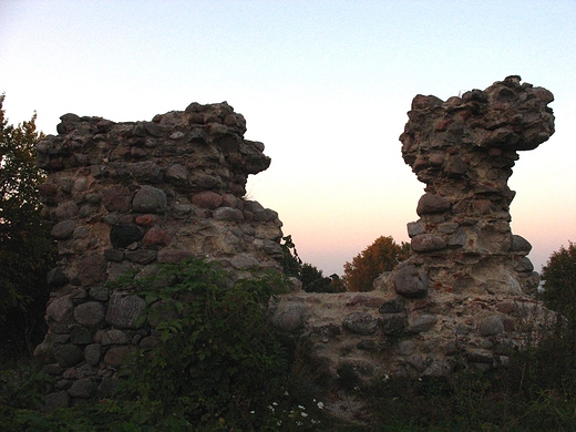 Wielbłąd (ruiny zamku w Kurzętniku)