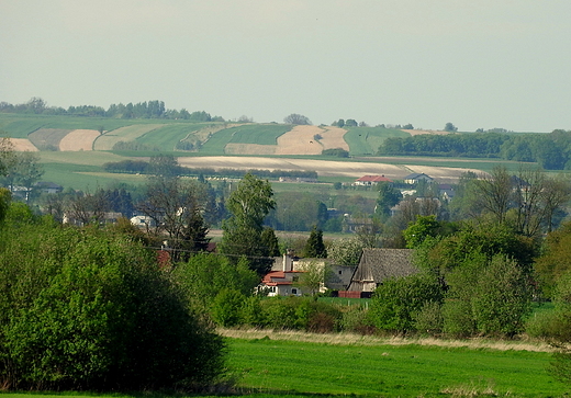 widok na Dziay Grabowieckie