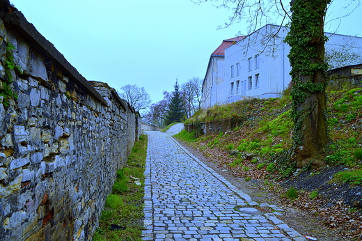 Krapkowice - zamkowy mur