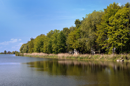 Goczakowice-Zdrj. Staw rybny.