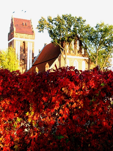 Koci parafialny w Morgu