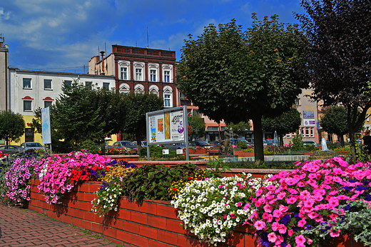 Krapkowice - Rynek