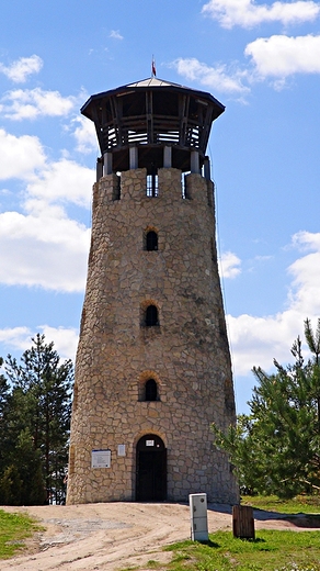 Wiea widokowa