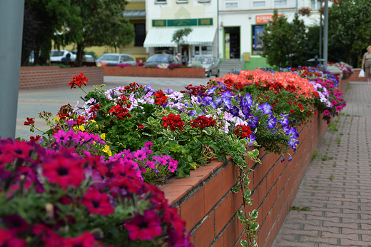 Krapkowice - Rynek