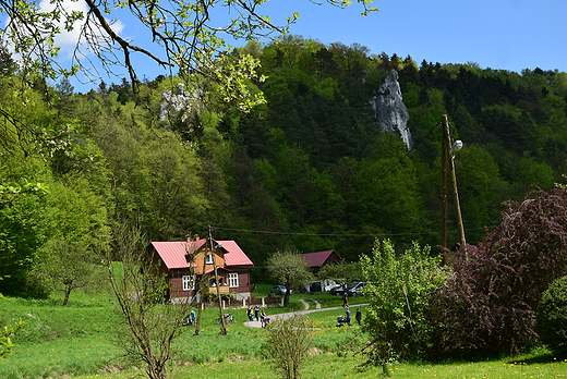 Jeden dzie w Ojcowskim Parku Narodowym. cz.3