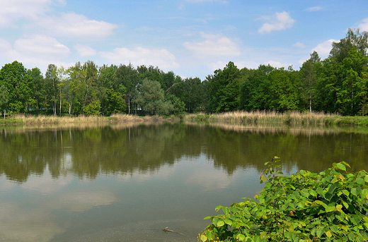 Zabrzeg. Staw rybny.