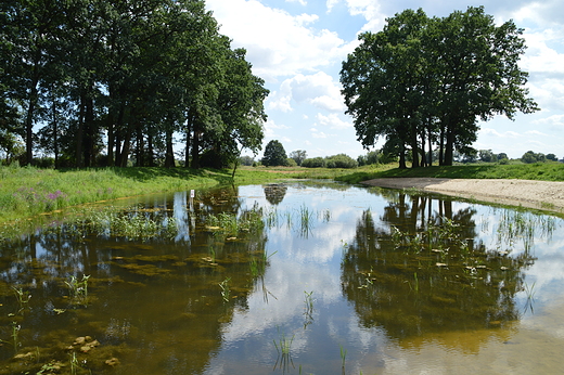 Krapkowice -  Park Bonie