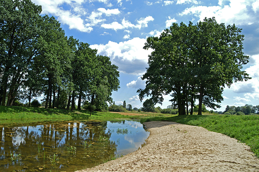 Krapkowice - Park Bonie