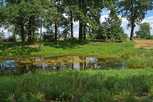 Krapkowice - Park Bonie