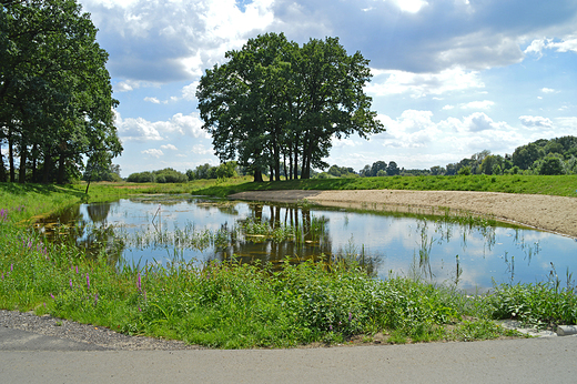 Krapkowice - Park Bonie copacabana