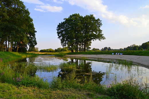 Krapkowice - Park Bonie