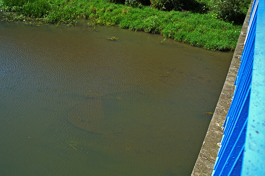 Krapkowice - Osoboga, zatopiona barka pod mostem