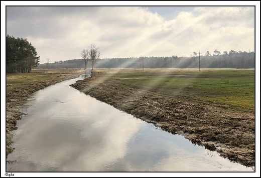 Trba - pierwsze wiosenne promyki soca nad rzek Oobok