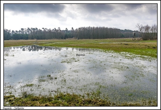 Czekanw - Bagatela -w dolinie rzeki Oobok