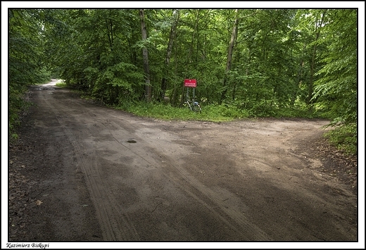 Kazimierz Biskupi - lena trasa rowerowa Natura 2000