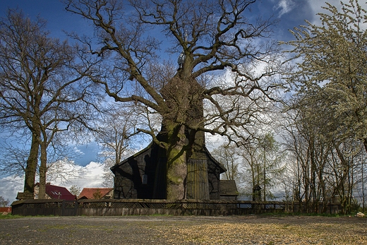 Koci Podwyszenia Krzya witego w Wierzbicy Dolnej - 1688r.