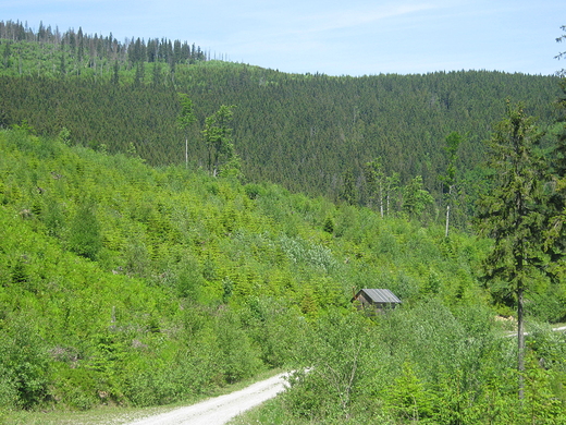 Tatry