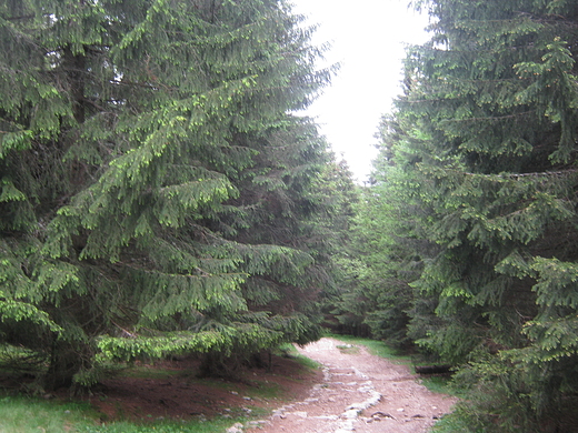 Tatry