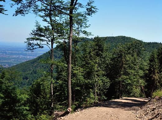 Beskid May. Chrobacza ka-szczyt o wysokoci 822m npm.