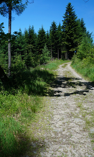 Beskid May. Na szlaku.