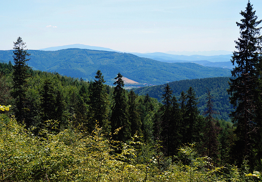 Beskid May. Widok spod Chrobaczej ki.