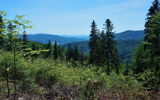 Beskid May.