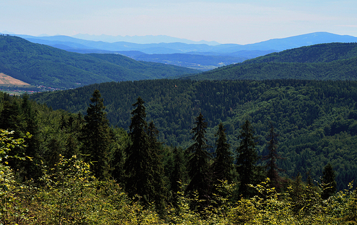 Beskid May.Widok spod Chrobaczej ki na Tatry.