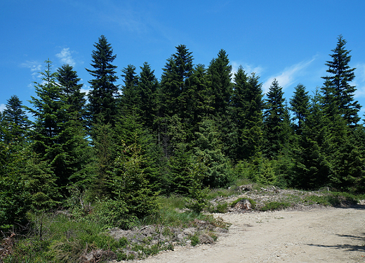 Beskid May. Gaiki.