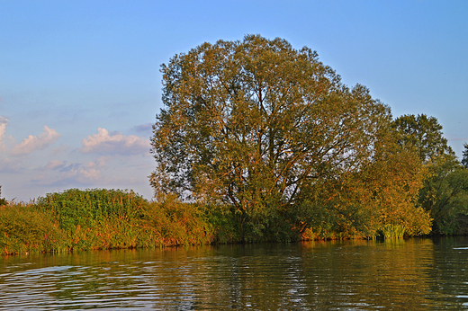 Krapkowice - nad Odr