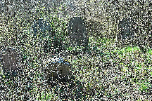 Maogoszcz - opuszczona nekropolia