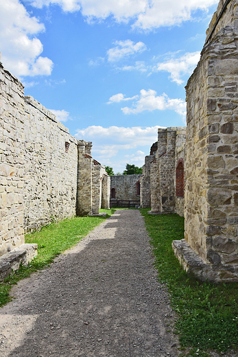 Rudno - ruiny zamku Tenczyn.