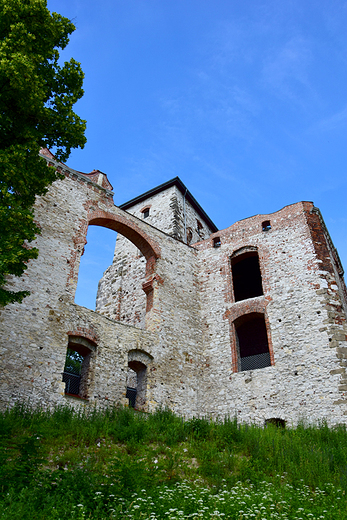 Rudno - ruiny zamku Tenczyn.