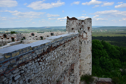 Rudno - ruiny zamku Tenczyn.