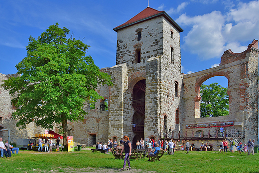 Rudno - ruiny zamku Tenczyn.