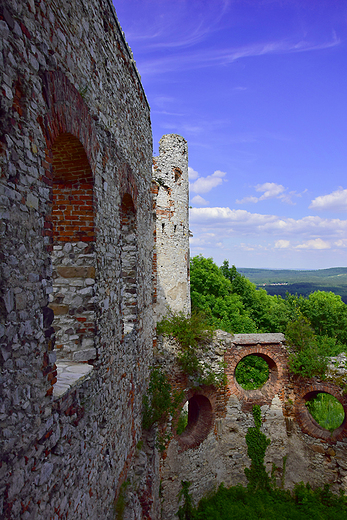 Rudno - ruiny zamku Tenczyn.