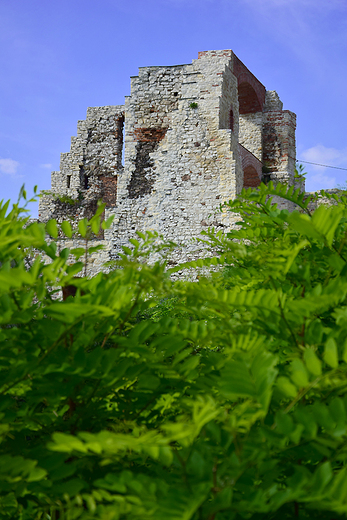 Rudno - ruiny zamku Tenczyn.