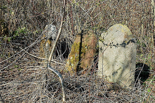 Maogoszcz - zaronite macewy