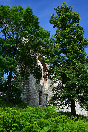 Rudno - ruiny zamku Tenczyn.