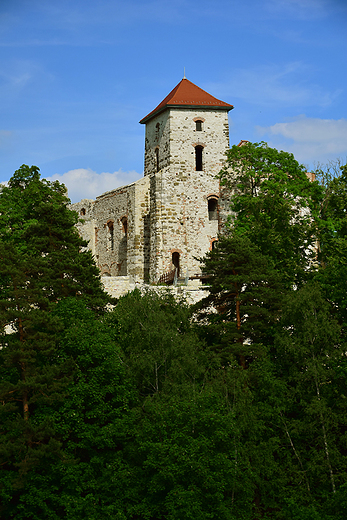 Rudno - ruiny zamku Tenczyn.