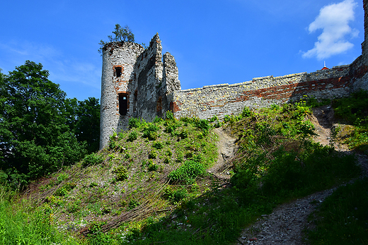 Rudno - ruiny zamku Tenczyn.